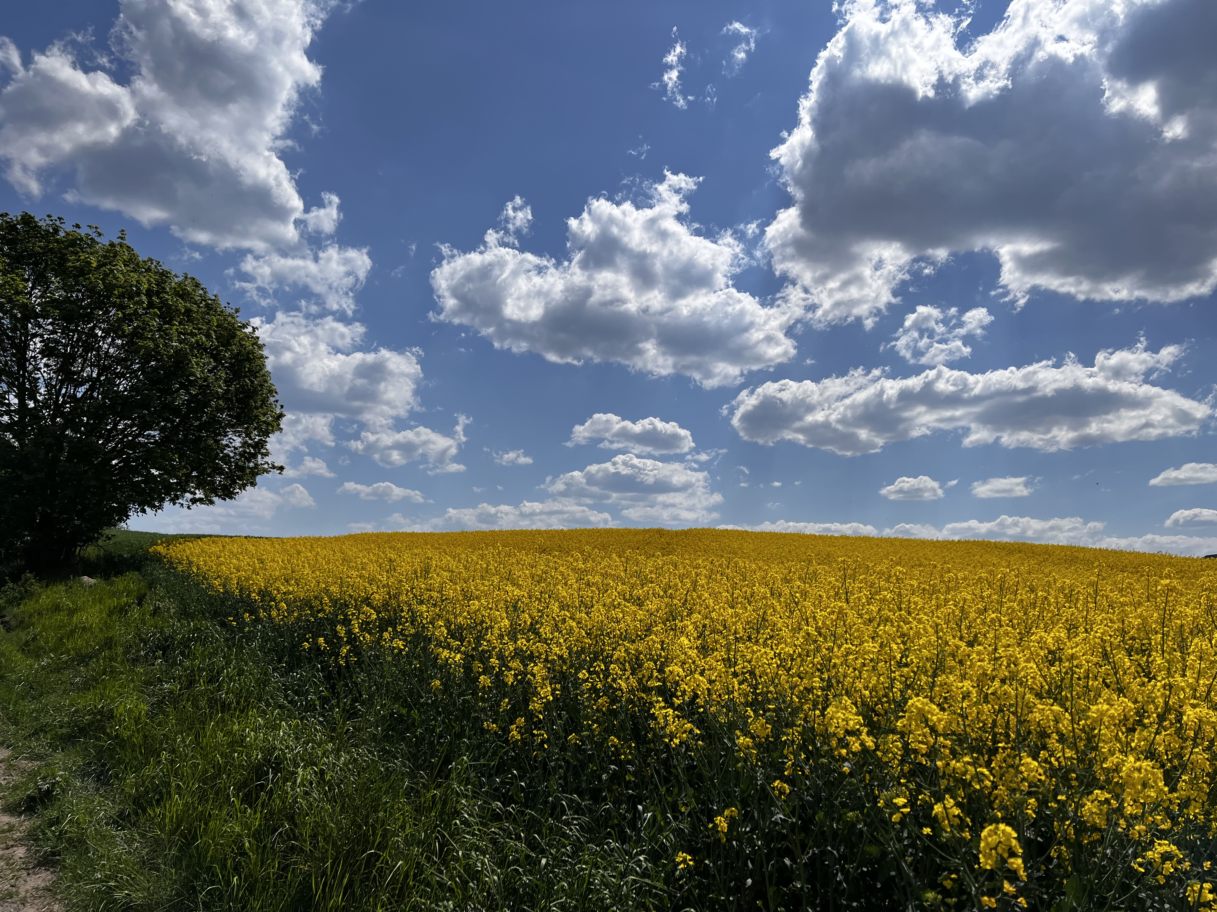 Krajobraz przyrodniczy doliny Iny