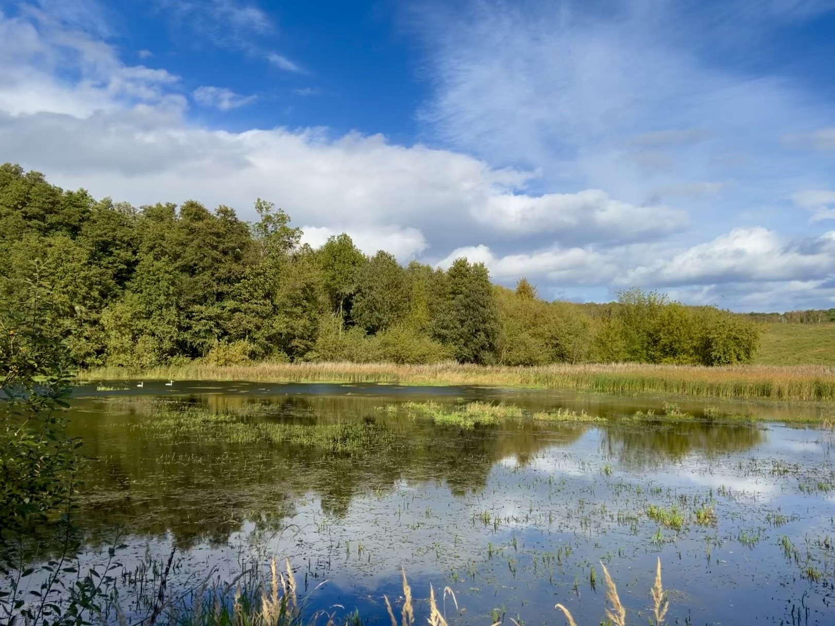 Krajobraz doliny Iny